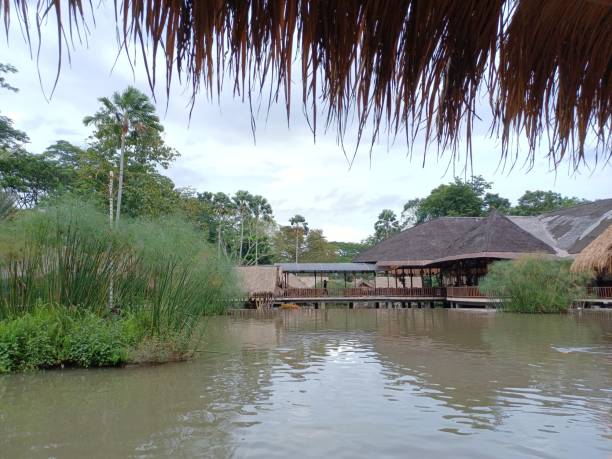 istock Wooden house roofed from dry coconut leaf 1355904892
