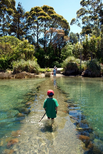 A child crosses a submerged footpath at an estuary at high tide whilst his father waits and watches at the beach in summertime. This is taken at Milnethorpe Woods in the Golden Bay Region of the Tasman District in New Zealand's South Island,
