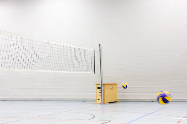 Volleyball court
