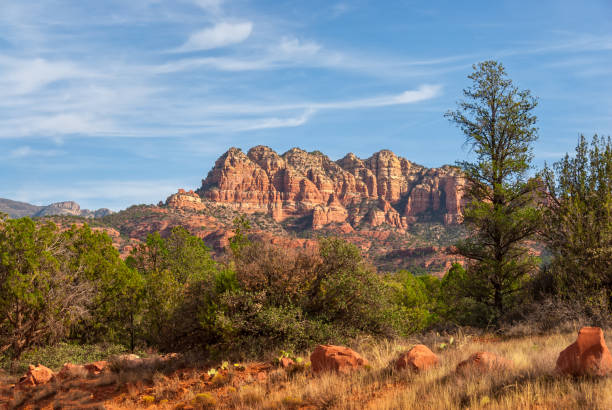 kuvapankkikuvat ja rojaltivapaat kuvat aiheesta seitsemän valvojaa - coconino national forest