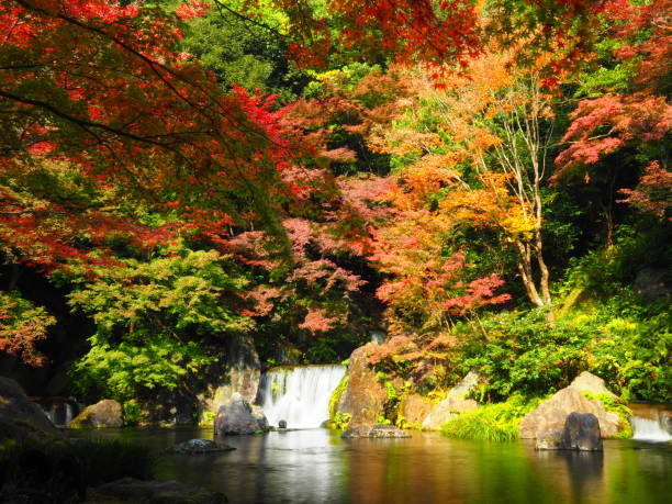 istock Autumn leaves and waterfall 1355913293