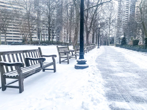 istock Winter in Philadelphia 1355917863