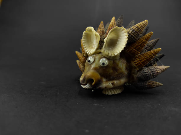 istock hedgehog-shaped shell on black - stock photo 1355923619
