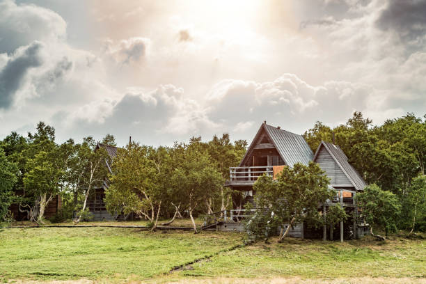 istock Wooden houses in the forest 1355925205
