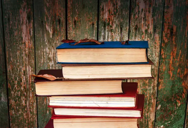 Pile of Books on the Old Wooden Wall Background