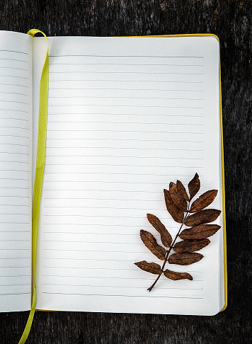 Blank Notepad with a Leaf on the Grunge Background closeup