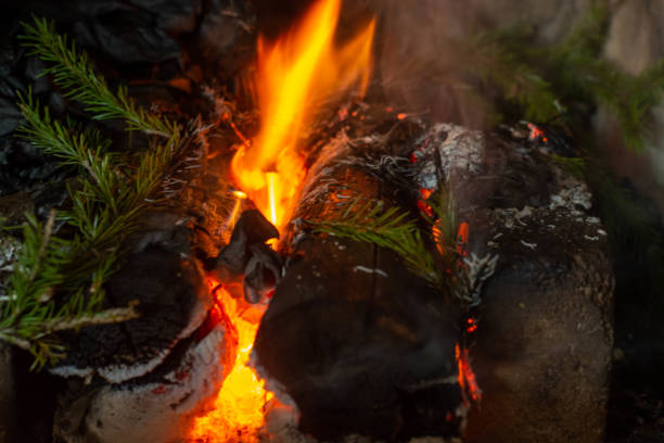istock Fireplace with burning wood. The firewood is close. 1355934763