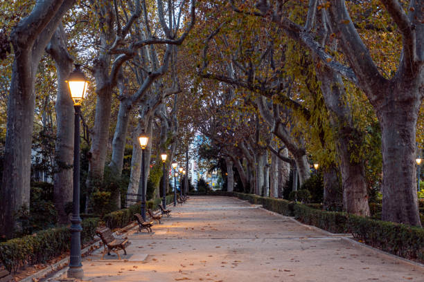 istock Park in the city empty at dusk, with the lights on 1355936431