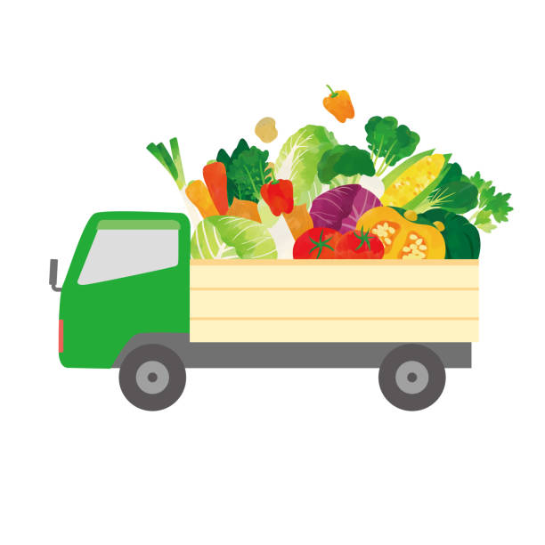 채소를 실은 트럭. - farmers market agricultural fair carrot vegetable stock illustrations