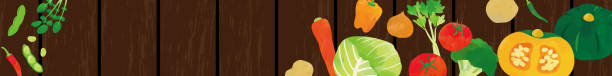 akwarelowa ilustracja warzyw - celery vegetable illustration and painting vector stock illustrations