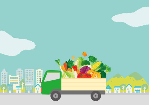 ilustrações de stock, clip art, desenhos animados e ícones de a truck carrying vegetables and a cityscape - celery vegetable illustration and painting vector