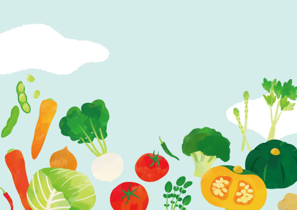 illustrations, cliparts, dessins animés et icônes de illustration à l’aquarelle de légumes - fruits et légumes