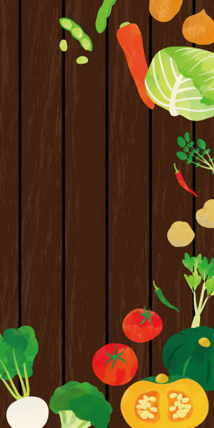 ilustrações de stock, clip art, desenhos animados e ícones de watercolor illustration of vegetables - agriculture backgrounds cabbage close up