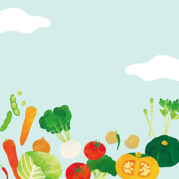 акварельная иллюстрация овощей - celery vegetable illustration and painting vector stock illustrations