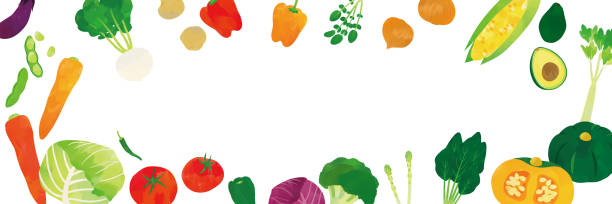 ilustraciones, imágenes clip art, dibujos animados e iconos de stock de ilustración en acuarela de verduras - farmers market illustrations