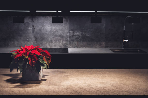 Interior lighting plan. Illuminated Christmas flower poinsettia on a table, countertop in a modern gray kitchen.