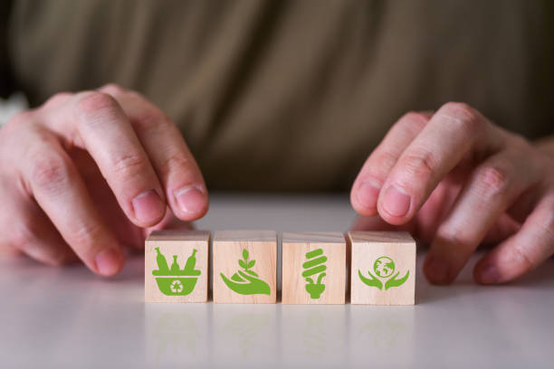 istock The concept of sustainable development or environmental protection. 1355947622