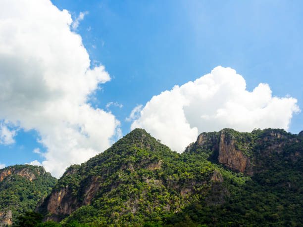 istock Nature background. Green tree, jungle on the beautiful shape mountain on blue sky and fluffy cloud with sunshine on sunny day with copy space. 1355950466