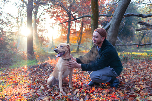 Young man taking a morning walk in the woods in London Epping Forest with his labrador dog, Hiking