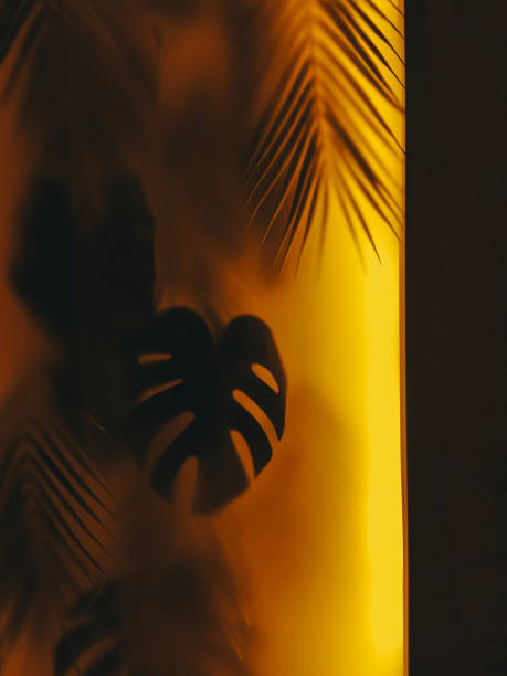 istock tropical leaves shine through glass, yellow light. 1355951642