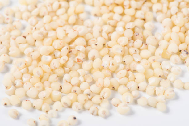 istock grain sorghum seed rice isolated on white background. 1355951661