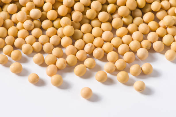 istock Soybean seeds isolated on white background 1355952805