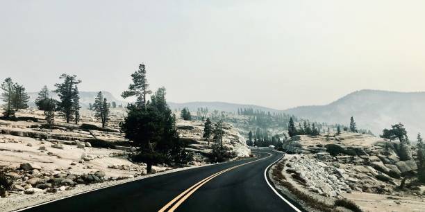 istock Beauty of Yosemite 1355953075