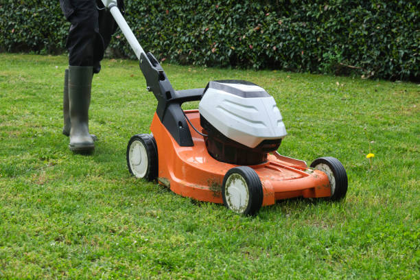 istock gardener mowing the lawn with a lawn mower 1355955823