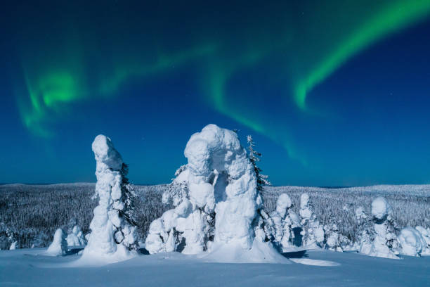 spectaculaires aurores boréales, les aurores boréales s’affichent pendant une nuit d’hiver froide et glaciale au-dessus d’une forêt de taïga enneigée - aurora borealis aurora polaris lapland finland photos et images de collection