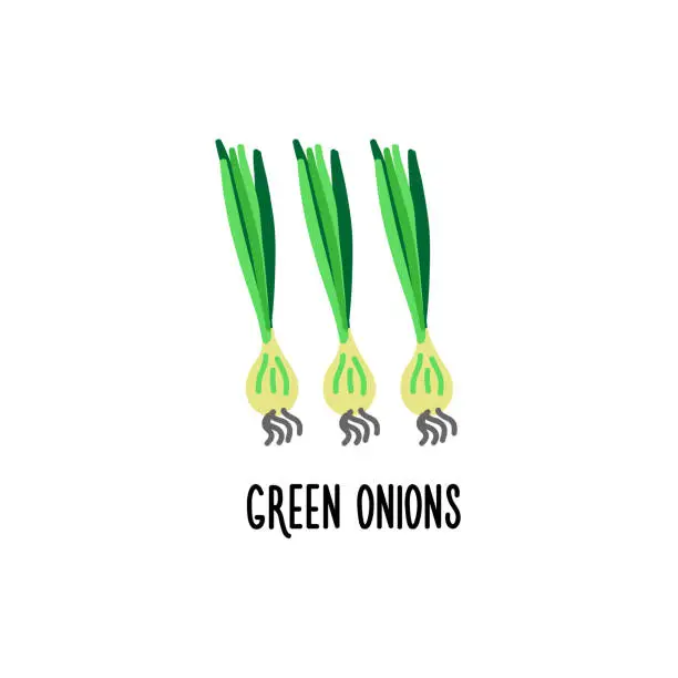 Vector illustration of Green onion clip art with white background. Isolated vector illustration