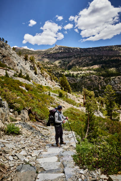 istock Hiker relaxes on forested trail, and looks out 1355960783