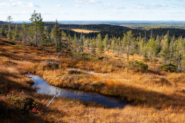 An aerial of famous hanging bogs in autumnal Riisitunturi National Park An aerial of famous hanging bogs in autumnal Riisitunturi National Park in the middle of taiga forests of Norhern Finland. finnish lapland autumn stock pictures, royalty-free photos & images