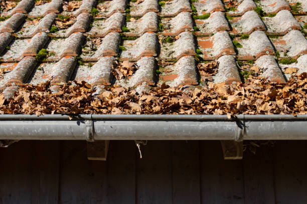 istock Autumn leaves blocking a rain gutter and have to be removed 1355963394