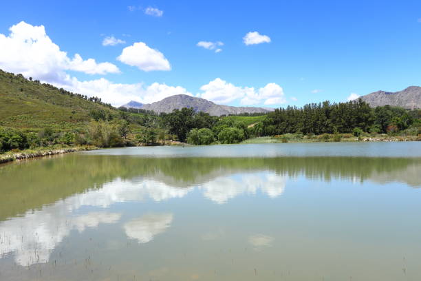 A serene view of Stellenbosch showing a reflective lake, lush greenery, and scenic mountains under a cloudy sky. Tranquil water mirrors vibrant green trees and scattered golden grass. Overhead, dramatic clouds enhance the calm atmosphere. A beautiful reminder of nature's allure in the captivating Cape Winelands, located in the Western Cape of South Africa.