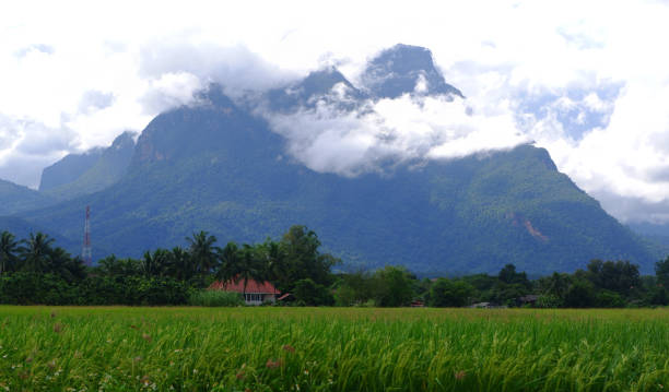istock Big green mountain in nature 1355966824