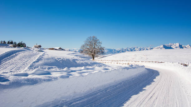 istock a snowy road in the mountains 1355966922