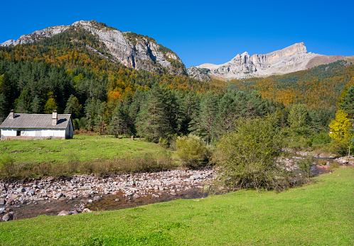 Autumn Selva de Oza in Valle de Hecho of Huesca at Pyrenees of Spain, Valles Occidentales Natural Park