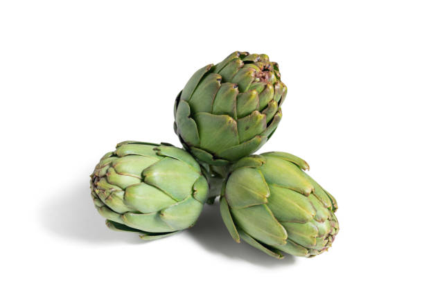 istock Fresh seasonal artichokes on white background 1355969679