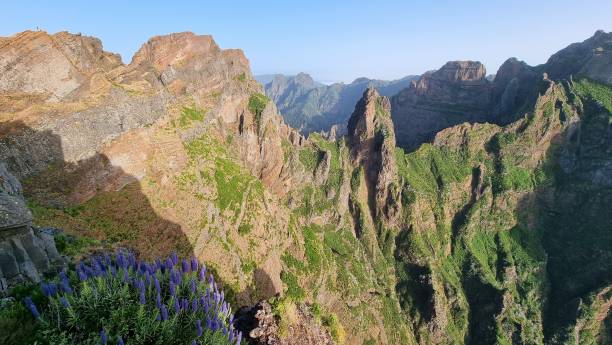 istock Beautiful landscape in Madeira, Portugal 1355969877