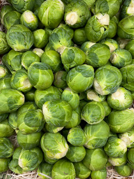 Full frame image of local fresh produce market with close-up of pile of green brussels sprouts, elevated view stock photo