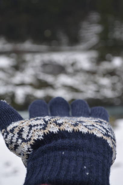 istock Snow in Hand - Nagano Japan 1355972497