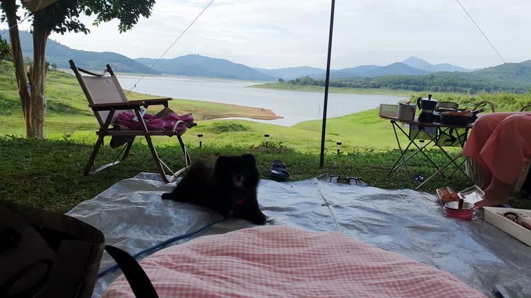 Hand opens up tent flap to peer outside into meadow, sunrise