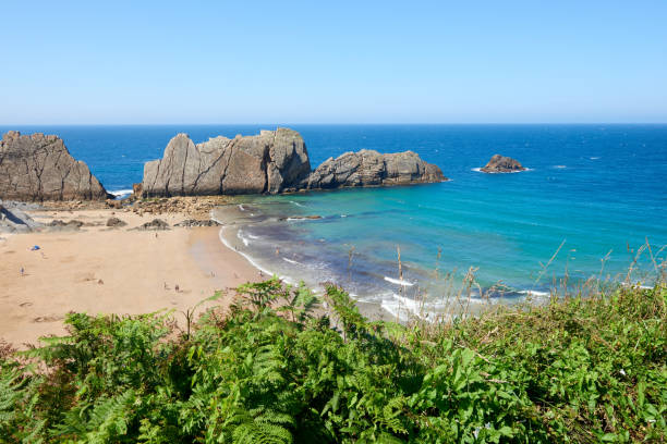 istock An extensive beach with transparent waters and surrounded by vegetation. 1355978204