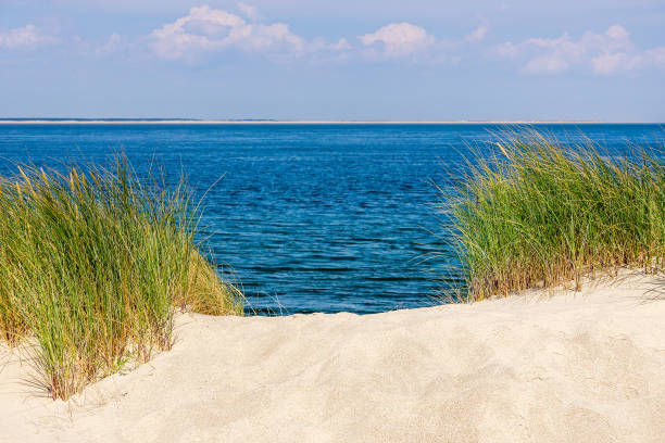 istock Beach and Ocean on the island Sylt 1355978827