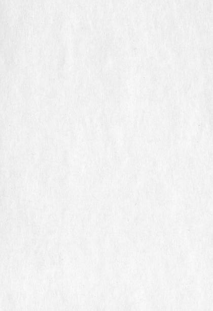 istock Kraft paper texture. Abstract natural background. White rough surface. Vertical blank cardboard 1355980805