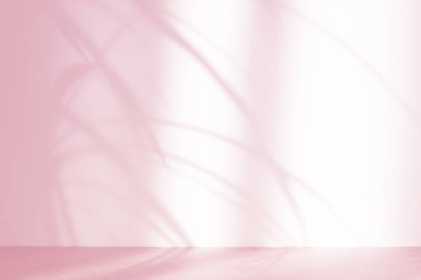 istock Pacific Pink abstract background with tropical plant shadows. Minimal creative concept. Copy space. 1355980820