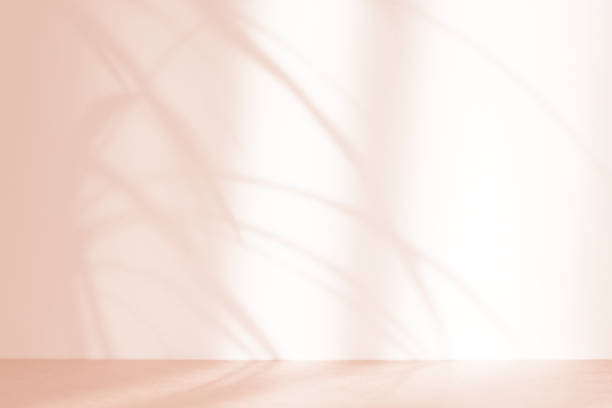 istock Calming Coral abstract background with tropical plant shadows. Minimal creative concept. Copy space. 1355980890