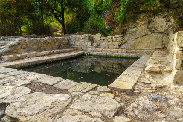 istock Water pool in Ein HaTayyasim (pilots spring), West of Jerusalem 1355985939