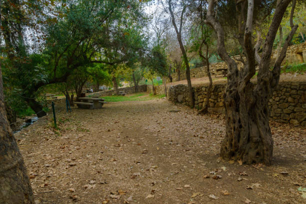 istock Picnic area, trees, fall foliage, and Kesalon Stream, En Hemed 1355986343