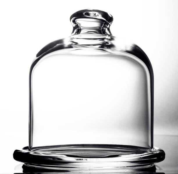 istock glass dome to preserve on white background 1355988195